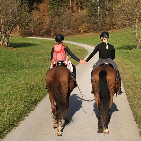 Reiterbauernhof Maho Villa Sankt Aegyd am Neuwalde Eksteriør bilde